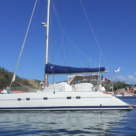 Catamaran Cypraea Hotel Terre-De-Haut Exterior foto