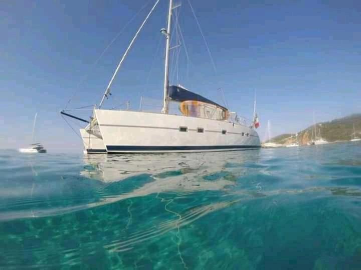 Catamaran Cypraea Hotel Terre-De-Haut Exterior foto